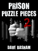 Prison Puzzle Pieces 2: The realities, experiences and insights of a corrections officer doing his time in Historic Stillwater Prison