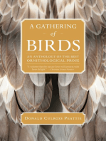 A Gathering of Birds: An Anthology of the Best Ornithological Prose