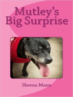 Mutley's Big Surprise: 1, #3