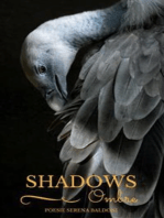 Shadows - Ombre - Poesie