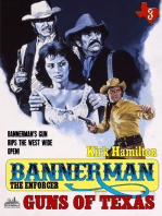 Bannerman the Enforcer 3: Guns of Texas