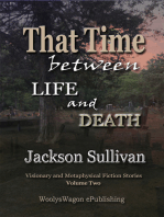 That Time between Life and Death Volume2