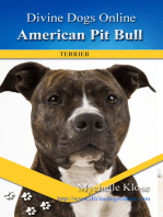 American Pit Bull Terriers