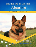 Alsatian