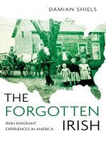 Forgotten Irish: Irish Emigrant Experiences in America