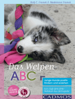 Das Welpen-ABC: Junge Hunde positiv fördern und erziehen - Von Auf-den-Arm-Nehmen bis Zerrspiele