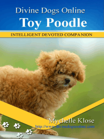 toy poodle online