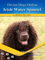 Irish Water Spaniel