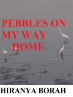 Pebbles on My Way Home