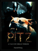 Pitz- A Tale Of Urban Terror