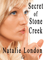 Secret of Stone Creek