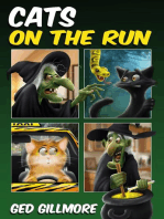 Cats On The Run