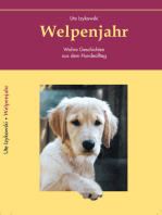 Welpenjahr: Wahre Geschichten aus dem Hundealltag