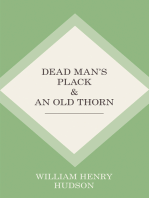 Dead Man's Plack and An Old Thorn