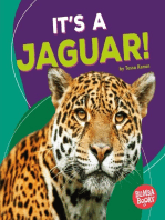 It's a Jaguar!