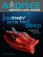 Journey into the Deep