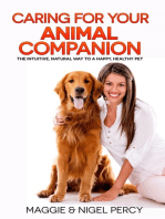 Caring For Your Animal Companion