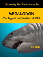 Megalodon: Discovering The World Around Us