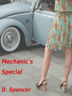 Mechanic's Special