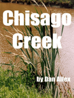 Chisago Creek