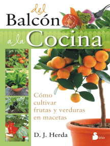 Del balcón a la cocina: Cómo cultivar frutas y verduras en macetas