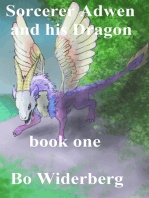 Sorcerer Adwen and His Dragon, Book One