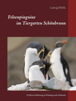 Felsenpinguine im Tiergarten Schönbrunn: 35 Jahre Erfahrung in Haltung und Aufzucht