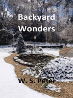 Backyard Wonders