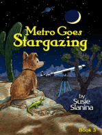 Metro Goes Stargazing: Metro The Little Dog, #3