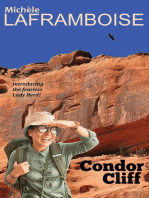 Condor Cliff: Bold and Birding