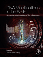 DNA Modifications in the Brain: Neuroepigenetic Regulation of Gene Expression