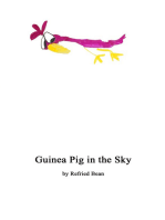 Guinea Pig in the Sky