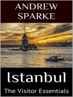 Istanbul: The Visitor Essentials