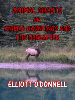 Animal Ghosts: Animal Hauntings and The Hereafter