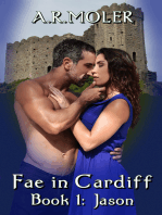 Fae in Cardiff Book 1