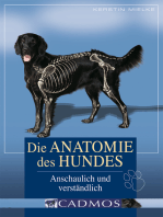 Die Anatomie des Hundes: Anschaulich und verständlich