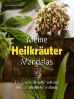 Meine Heilkräutermandalas: Heimische Pflanzen und ihre ganzheitliche Wirkung