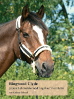 Ringwood Clyde: (m)ein Lehrmeister und Engel auf vier Hufen