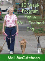 10 Week Program For A Well Trained Dog