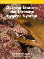 Cleaning Stations: the Ultimate Hygiene System