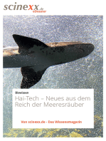 Hai-Tech: Neues aus dem Reich der Meeresräuber