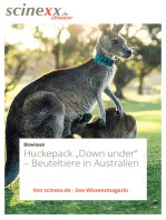 Huckepack "Down under": Beuteltiere in Australien