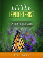 Little Lepidopterist: My First Field Guide, #2