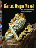 The Bearded Dragon Manual