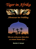 Tiger in Afrika Abenteuer im Frühling: Wie ein verlassenes Kätzchen zu seinem Namen kam ...