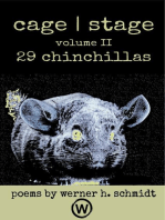 29 Chinchillas: cage | stage, #2
