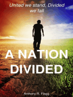 A Nation Divided: United We Stand, Divided We Fall
