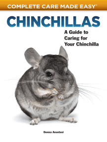 chinchilla care guide