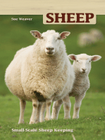 Sheep: Small-Scale Sheep Keeping For Pleasure And Profit