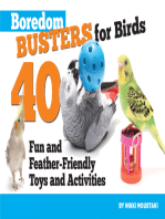Boredom Busters for Birds: 40 Fun and Feather-Friendly Toys and Activities